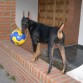 Loky como no podia ser de otra manera hincha del boca juniors! :)